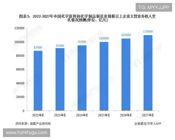 杭州排球队运营策略深度解析与发展前景展望